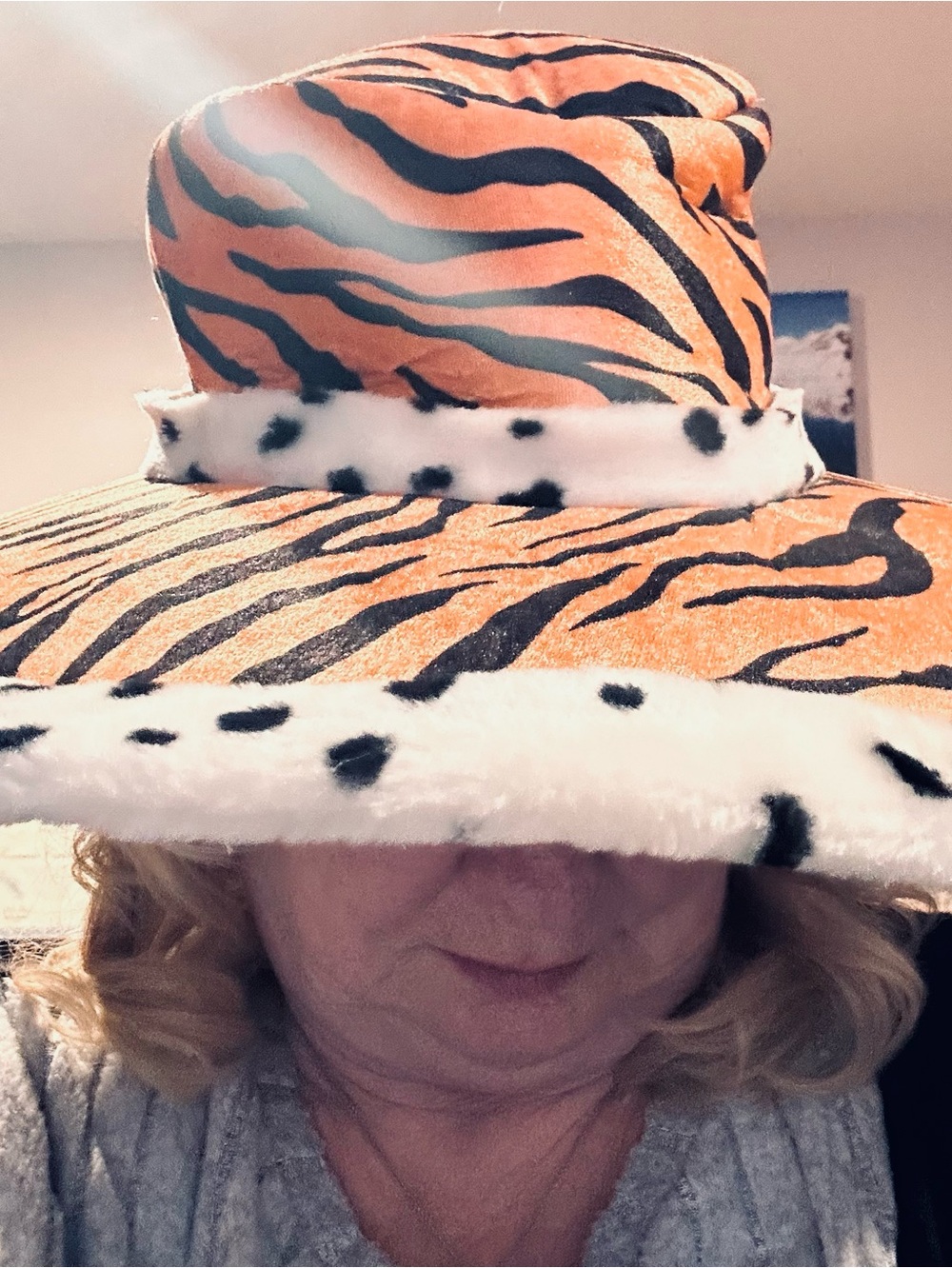 Orange Tiger Print Wide-Brim Hat with Faux Fur Trim - Picture 3 of 3